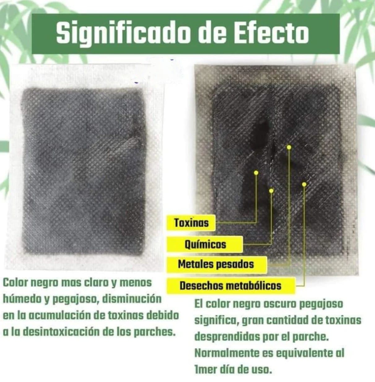 Parche Desintoxicante Kinoki